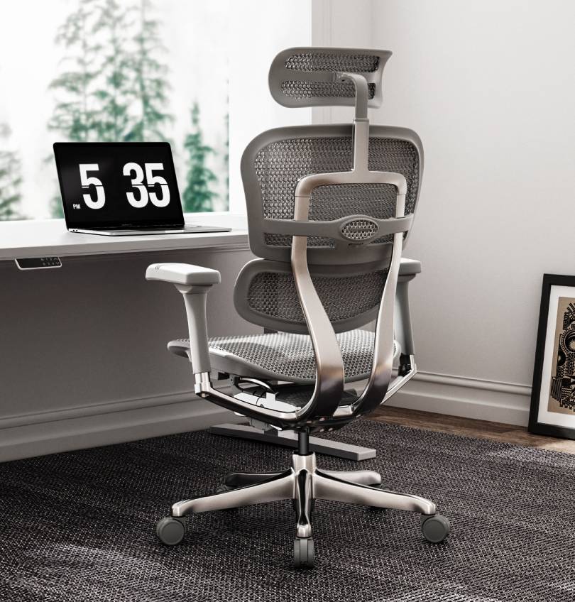 Ergohuman chair online