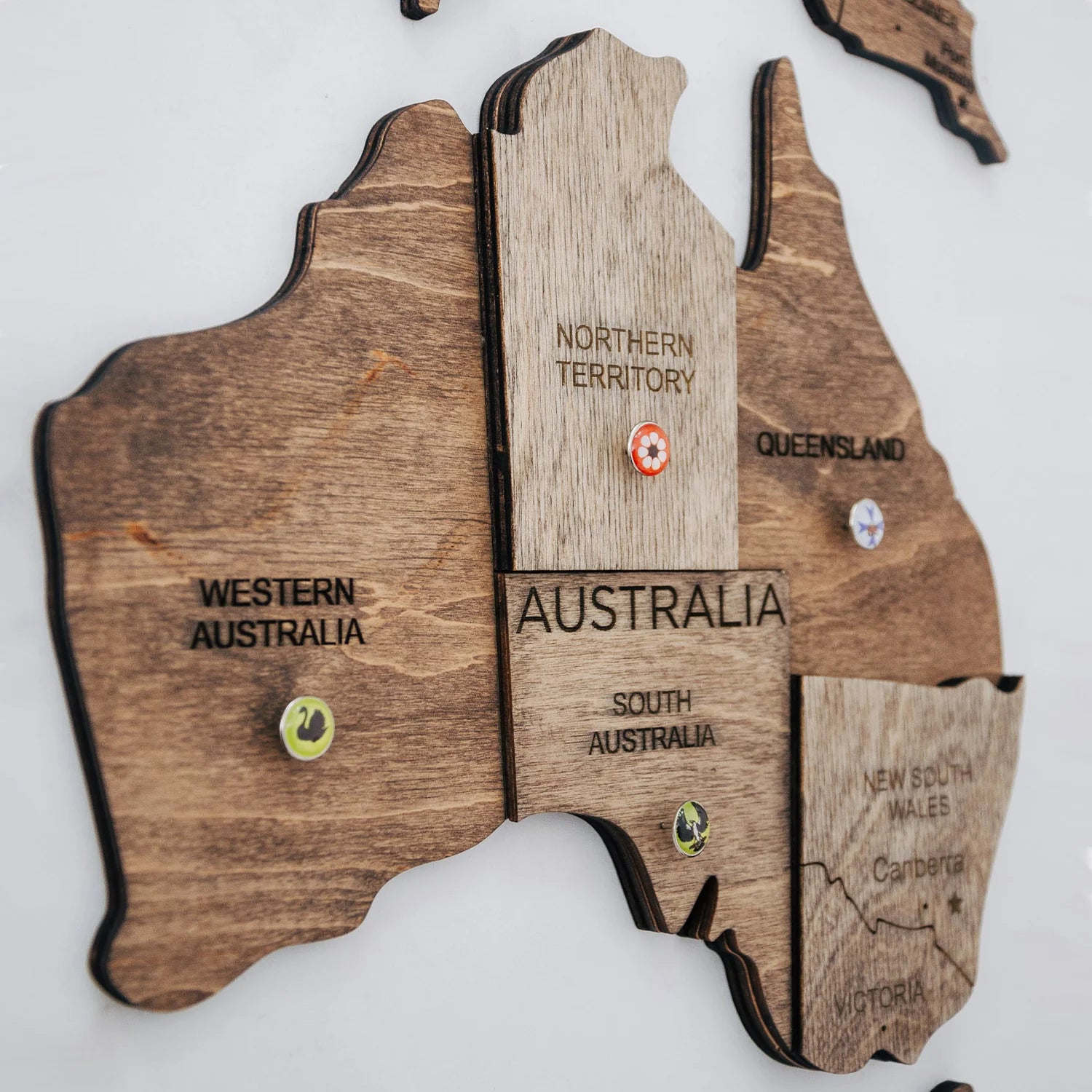 3D Wooden World Maps - Terra Wood Stain (4 Sizes) Consumer BAFCO