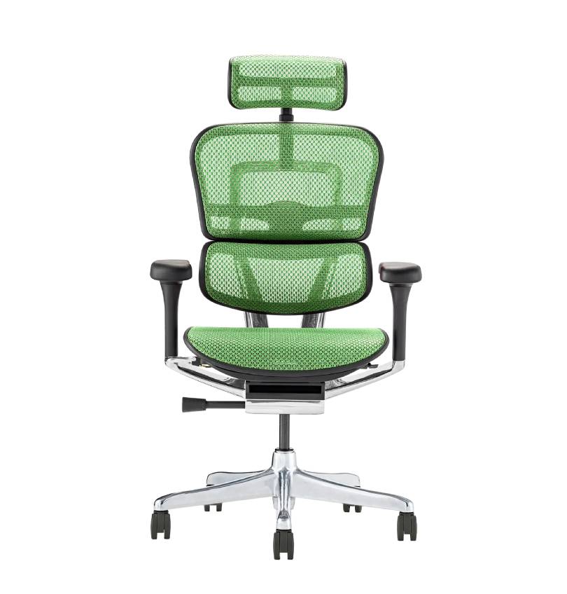 Ergohuman high back online chair